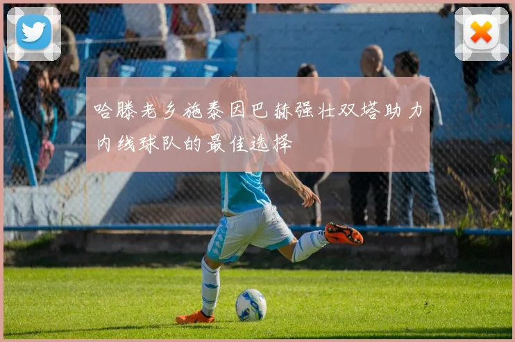 哈滕老乡施泰因巴赫强壮双塔助力内线球队的最佳选择