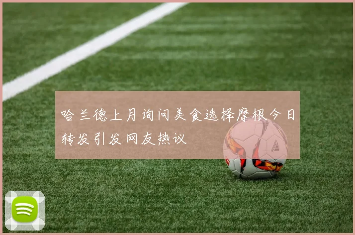 哈兰德上月询问美食选择摩根今日转发引发网友热议