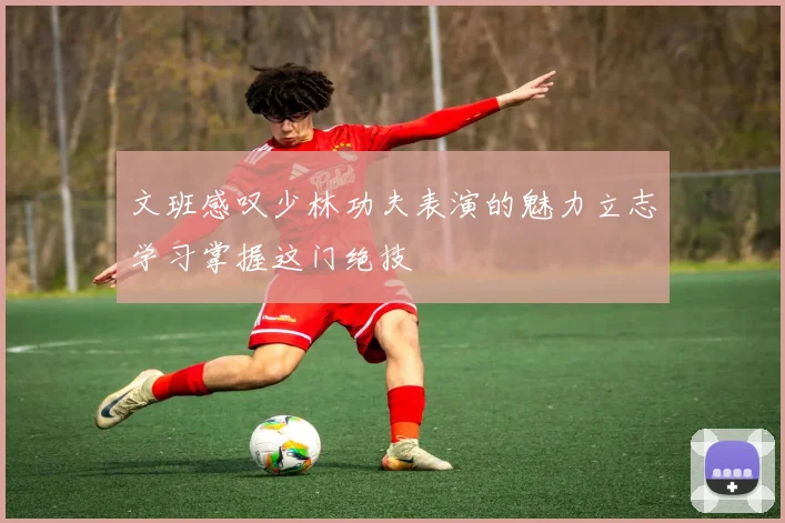 文班感叹少林功夫表演的魅力立志学习掌握这门绝技